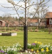 beskyttelsesnett 50 cm svart