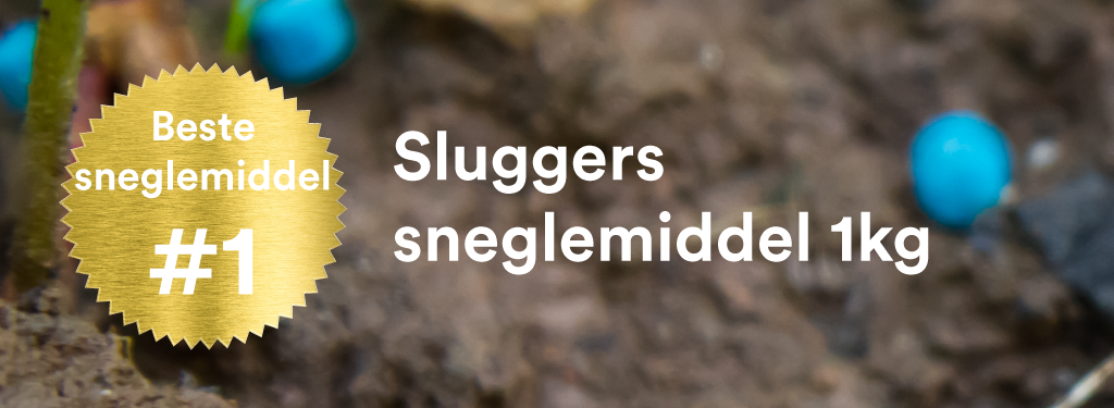 Beste sneglemiddel – produktsammenligning